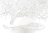 Amparo Sard, geperforeerd papierreliëf 2013 [AS as H A / ATree], 0.70 x 1 m. (ingelijst in 90% uv-wereld artglas, esdoorningewit).
PHŒBUS•Rotterdam